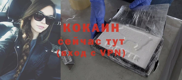 индика Аркадак