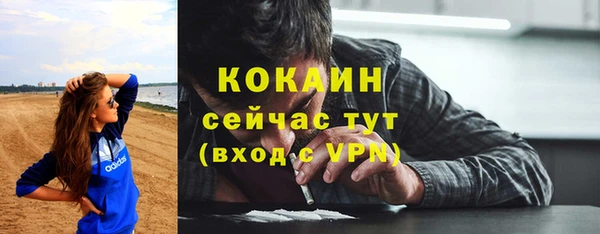 прущие крисы Арсеньев