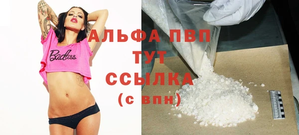 индика Аркадак