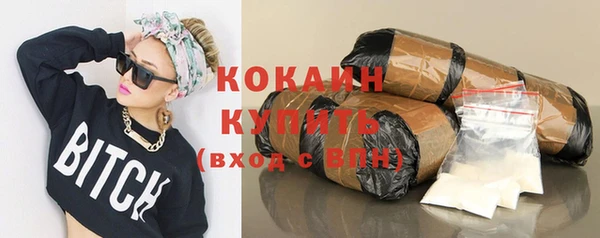 прущие крисы Арсеньев