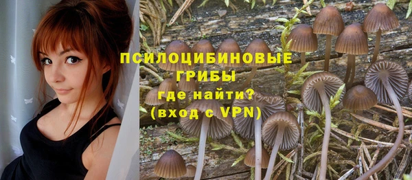 прущие крисы Арсеньев