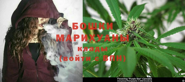 прущие крисы Арсеньев