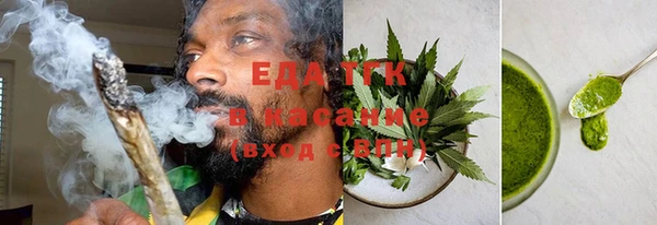 индика Аркадак